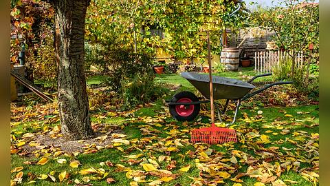 Vor dem Herbstanfang gibt es im Garten noch einiges zu tun.
