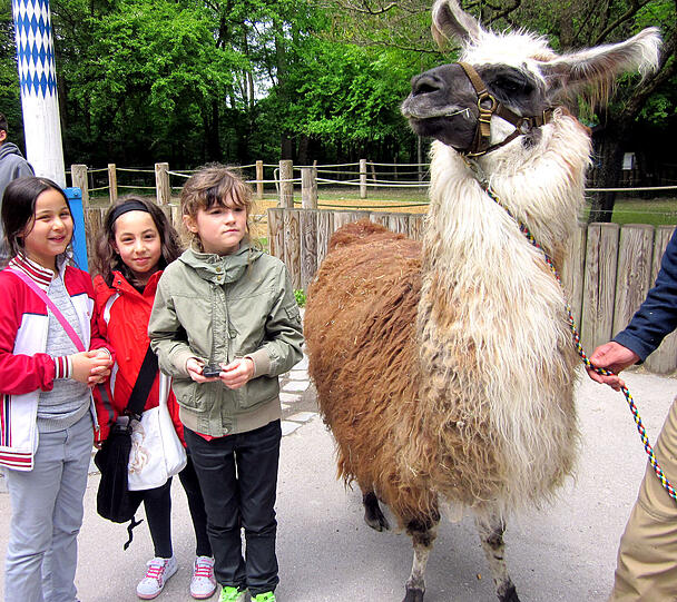 An einem Tag gehen die Kids in den Tierpark.