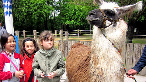 An einem Tag gehen die Kids in den Tierpark.