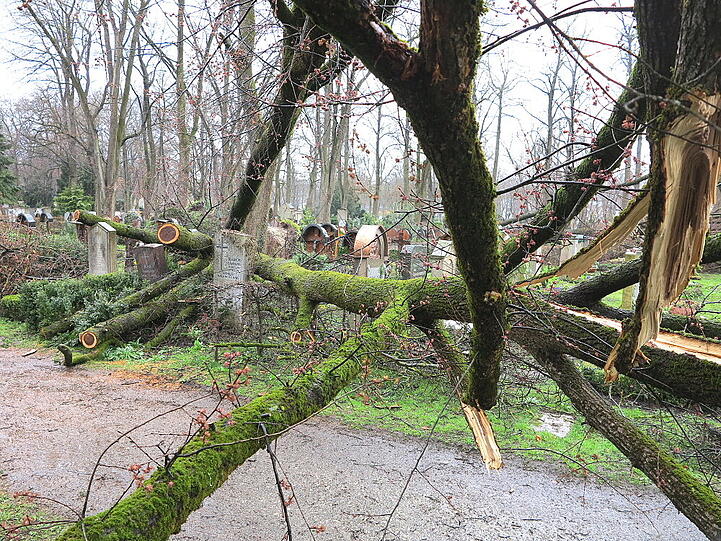 Weitere Aufnahmen vom Ostfriedhof.