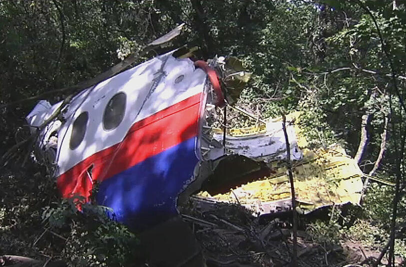 Erste TV-Aufnahmen zeigen große Wrackteile der Boeing (Flug MH17) in einem nahegelegenen Waldstück.