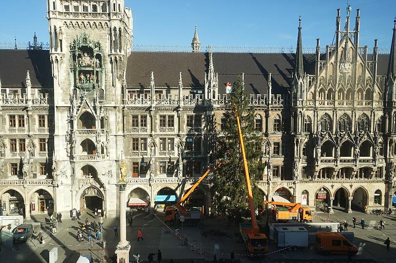 Der Christbaum am Münchner Marienplatz.