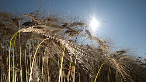 Am Wochenende scheint oft die Sonne.