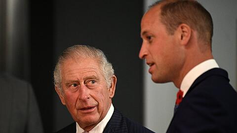 Prinz Charles und Prinz William vertreten die Queen.