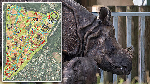 Panzernashorn-Mama Rapti und Sohn Puri müssen mittelfristig ausziehen. Lesen Sie den Masterplan des Tierparks Hellabrunn.