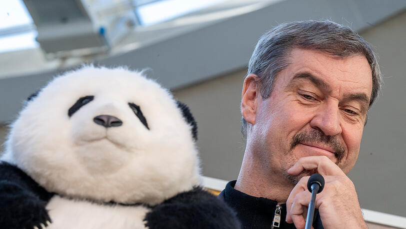 Markus S&ouml;der, (CSU) Ministerpr&auml;sident von Bayern, sitzt w&auml;hrend einer Pressekonferenz im Tierpark Hellabrunn neben einem Stoffpanda.