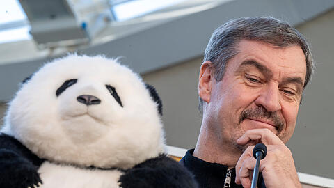 Markus S&ouml;der, (CSU) Ministerpr&auml;sident von Bayern, sitzt w&auml;hrend einer Pressekonferenz im Tierpark Hellabrunn neben einem Stoffpanda.