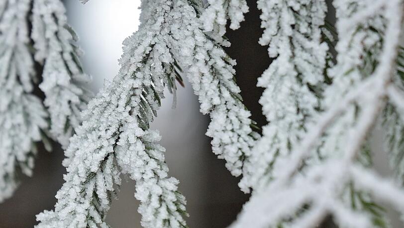 Schnee ist an Weihnachten Mangelware in Bayern. (Archivbild)
