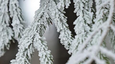 Schnee ist an Weihnachten Mangelware in Bayern. (Archivbild)