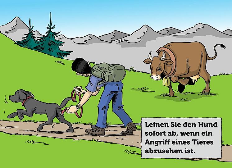 Zum Durchklicken: die Tipps aus dem Folder "Eine Alm ist kein Streichelzoo" der Tiroler Landwirtschaftskammer.