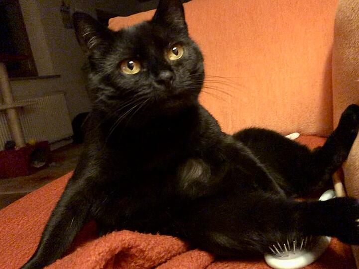 Emma/Muggi