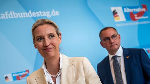 "An der AfD wird man nicht mehr vorbeiregieren können", meint Alice Weidel. (Archivfoto)