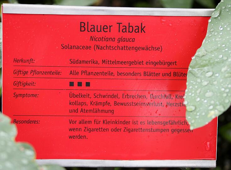 Auflösung siehe Tafel
