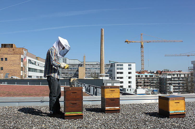Honigproduktion auf den Dächern der Stadt - bald ein alltägliches Bild? Foto: Green City