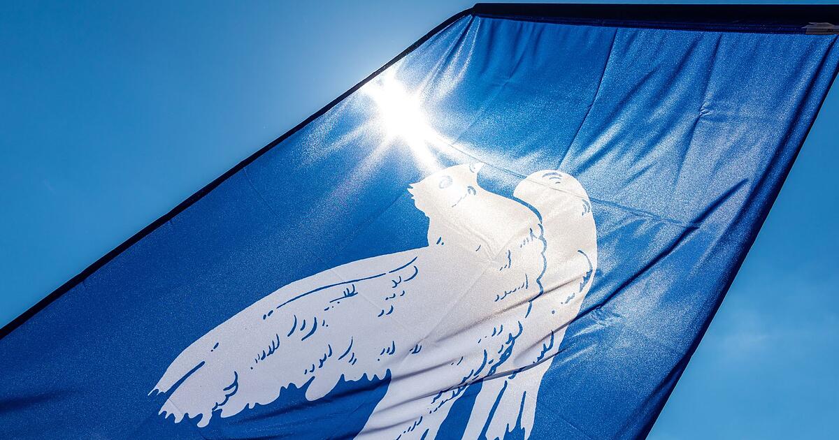 Friedenspl-ne-f-r-die-Ukraine-ein-berblick