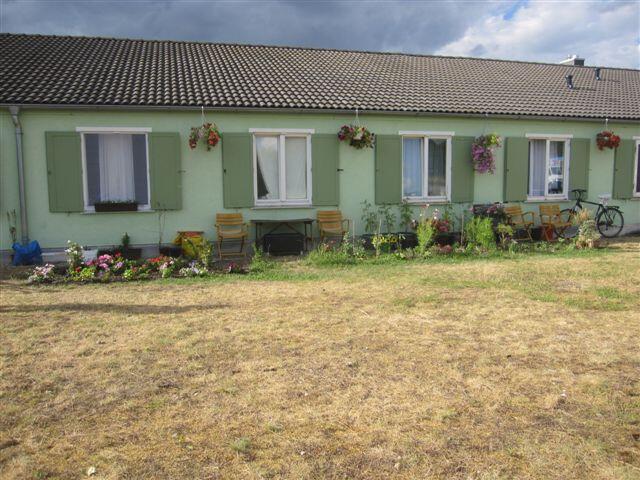 Die Blumenbeete vor dem Asylbewerberheim in der Haderner Tischlerstraße.