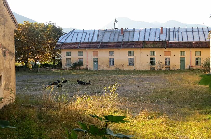Im Hof von Gut Kaltenbrunn sind derzeit nur Schafe anzutreffen.
