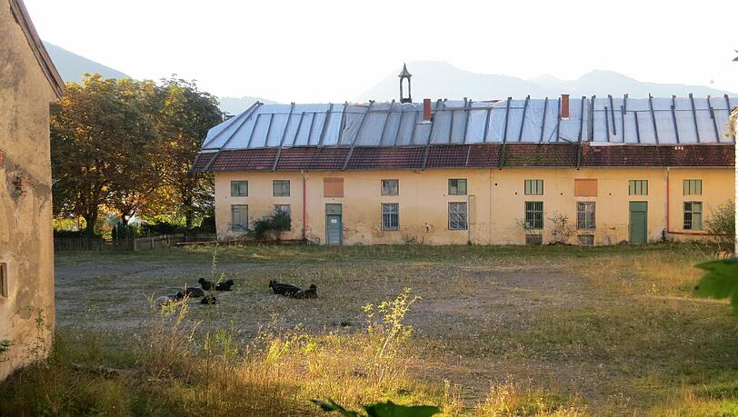 Im Hof von Gut Kaltenbrunn sind derzeit nur Schafe anzutreffen. Im Hof von Gut Kaltenbrunn sind derzeit nur Schafe anzutreffen.