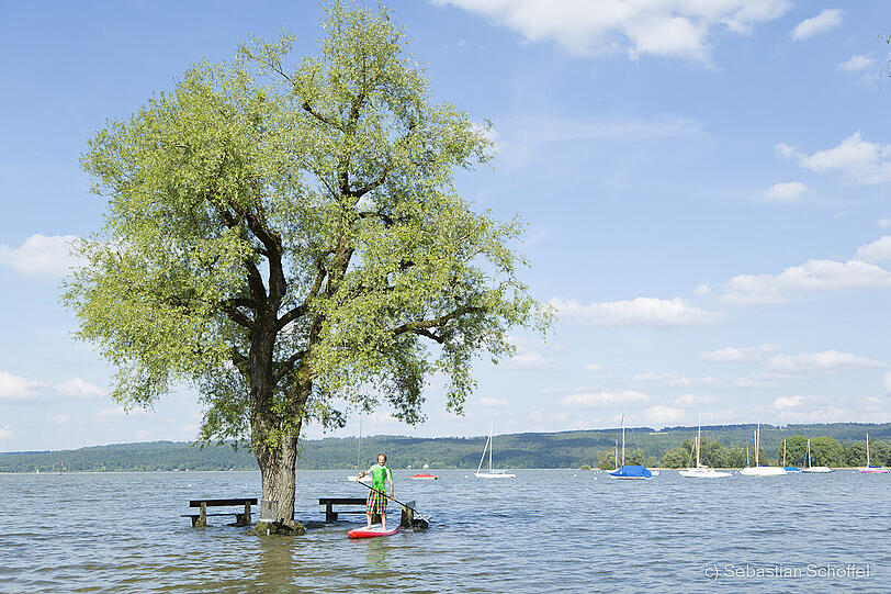 Fanatic-Teamfahrer Fabian Weber erkundet das Hochwasser in Diessen am Ammersee per Stand Up Paddeling