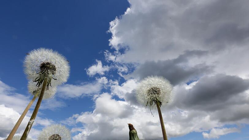 Am Dienstag erwartet Bayern vielerorts ein Sonne-Wolken-Mix. (Symbolbild) Am Dienstag erwartet Bayern vielerorts ein Sonne-Wolken-Mix. (Symbolbild)