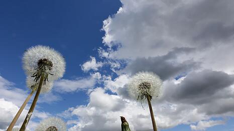 Am Dienstag erwartet Bayern vielerorts ein Sonne-Wolken-Mix. (Symbolbild)