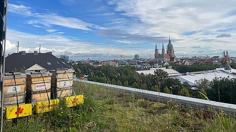 Die Glücksbienen Zentrale.