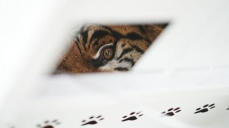 Der Zoo Luj&aacute;n war 2020 aus Tierschutzgr&uuml;nden geschlossen worden.