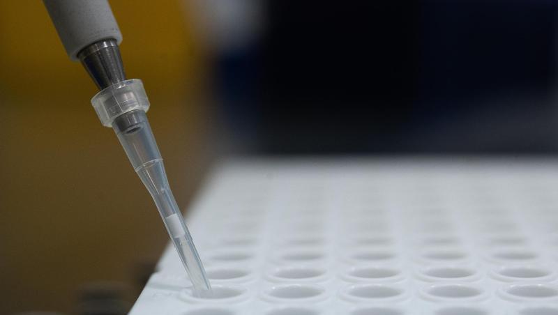 Die Delta-Variant des Coronavirus könnte auch in Deutschland bald vorherrschend sein.