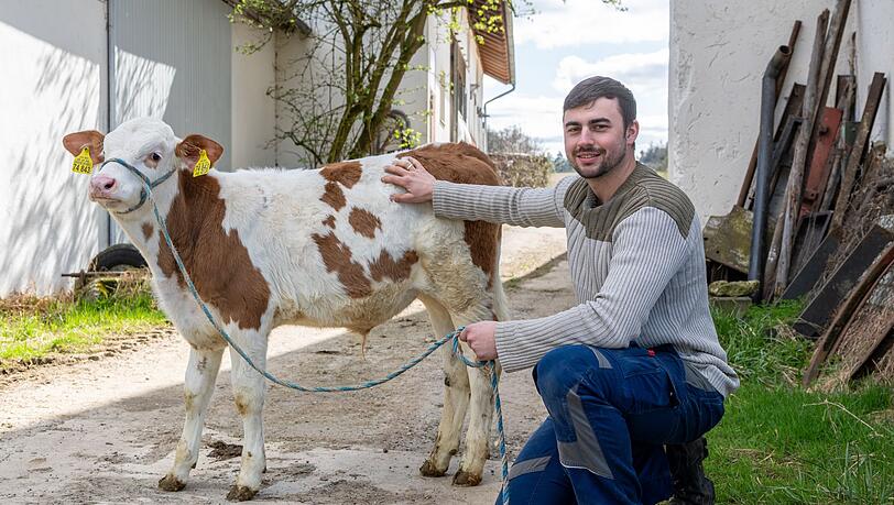 Johannes Brandhuber betreibt auf dem seit Generationen bestehenden Hof Rindermast - eine Kuh verschluckte seinen Ehering. Johannes Brandhuber betreibt auf dem seit Generationen bestehenden Hof Rindermast - eine Kuh verschluckte seinen Ehering.