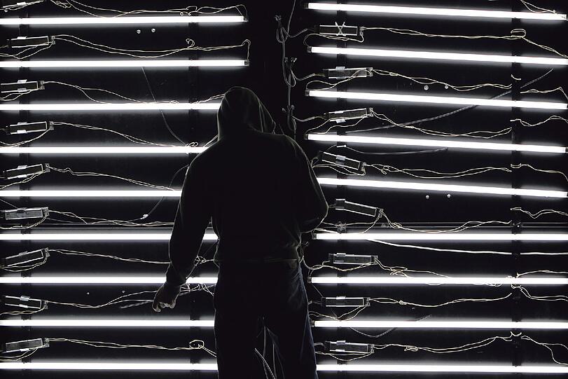 Leuchtstoff:
Das Siegerbild der Kategorie &bdquo;Umwelt & Energie&ldquo; zeigt mehrere Leuchtstoffröhren in Kontrast zu einem schwarzen Hintergrund. dpa-Fotograf Daniel Karmann nahm das ungewöhnliche Motiv am 8. November 2011 auf der Brau Beviale, der Fachmesse für Getränkewirtschaft auf, während ein Mitarbeiter an einem Messestand gerade die Leuchtstoffröhren anschließt. Dieser Sonderpreis ist mit 1000 Euro dotiert.