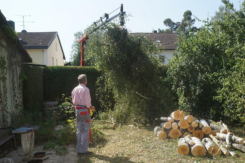 Hier verschwinden 33 private Gärten: Bilder von der Abholzaktion in Waldperlach.