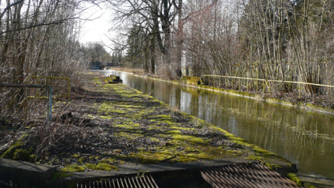 Die Natur erobert sich das geschlossene Bad zurück.