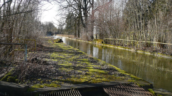 Die Natur erobert sich das geschlossene Bad zurück.