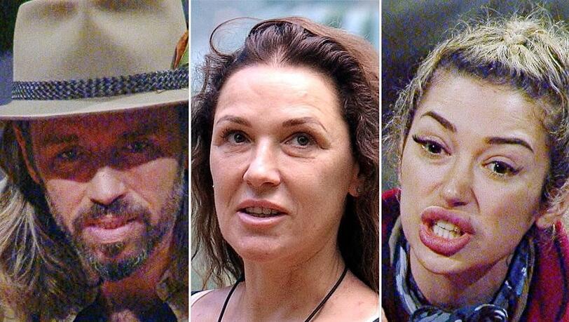 Gil Ofarim (v.l.), Simone Ballack und Ariel gehören zu den meistgenannten Favoriten der Ex-Camper. Gil Ofarim (v.l.), Simone Ballack und Ariel gehören zu den meistgenannten Favoriten der Ex-Camper.