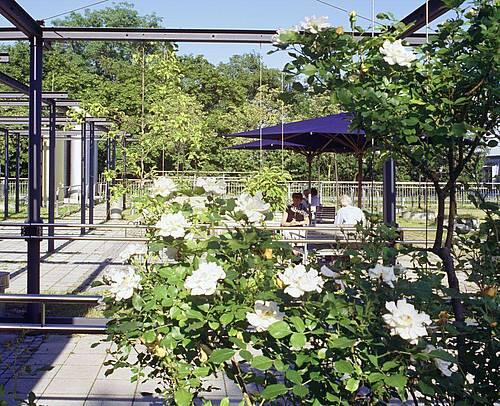 Die Dachterrasse der Abteilung Geriatrische Rehabilitation des Krankenhauses Barmherzige Brüder München.