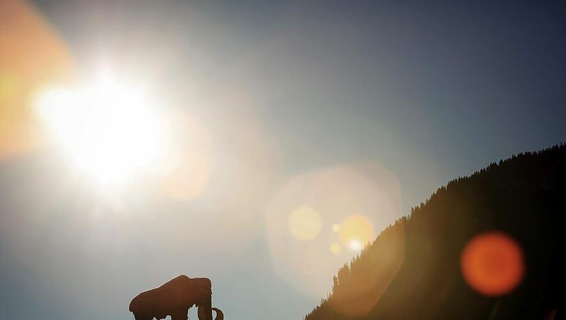 Auf einer schneefreien Piste in Bogen (Österreich) sieht man die Skulptur eines Mammuts, vom Sonnenlicht beschienen. Auf einer schneefreien Piste in Bogen (Österreich) sieht man die Skulptur eines Mammuts, vom Sonnenlicht beschienen.
