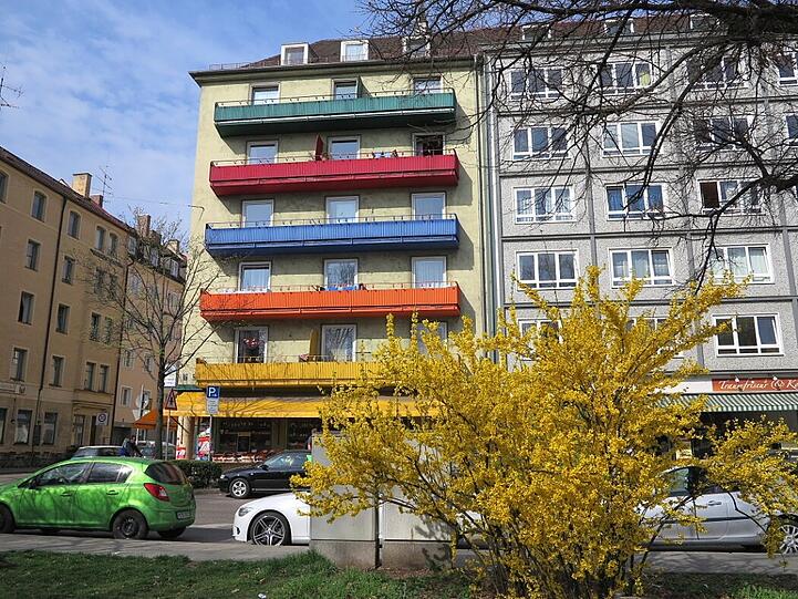 Die Forsythie macht der gelben Fassade Konkurrenz.