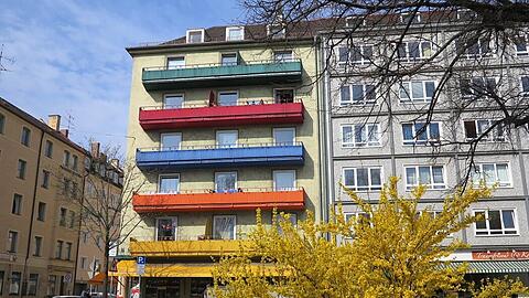 Die Forsythie macht der gelben Fassade Konkurrenz.