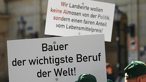 Bauern halten Plakate auf einer Demonstration hoch. Foto: Jens Wolf/dpa-Zentralbild/dpa/Archivbild
