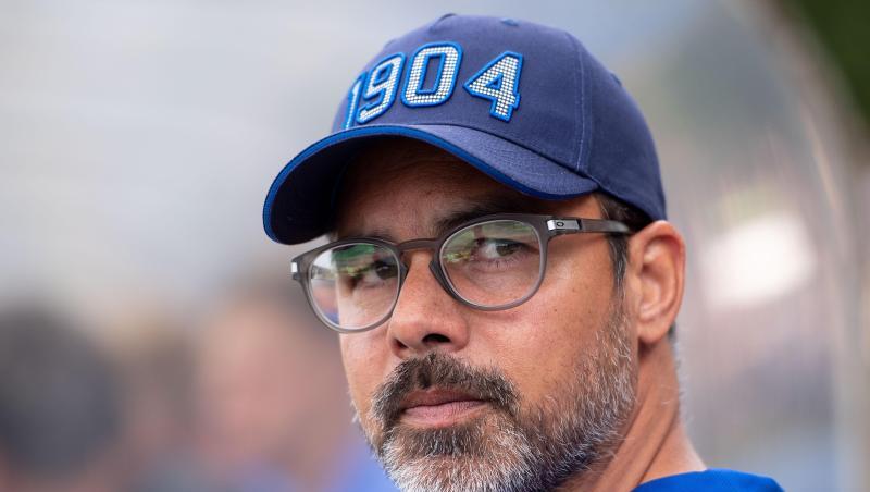 Schalkes neuer Trainer David Wagner kann sich auch Investoren in der Bundesliga vorstellen. Schalkes neuer Trainer David Wagner kann sich auch Investoren in der Bundesliga vorstellen.