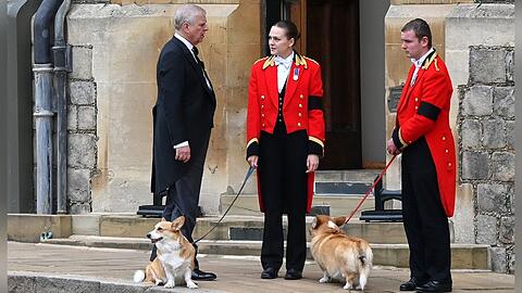 Prinz Andrew während den Trauerfeierlichkeiten für Queen Elizbeth II. mit den Corgis Muick und Sandy.