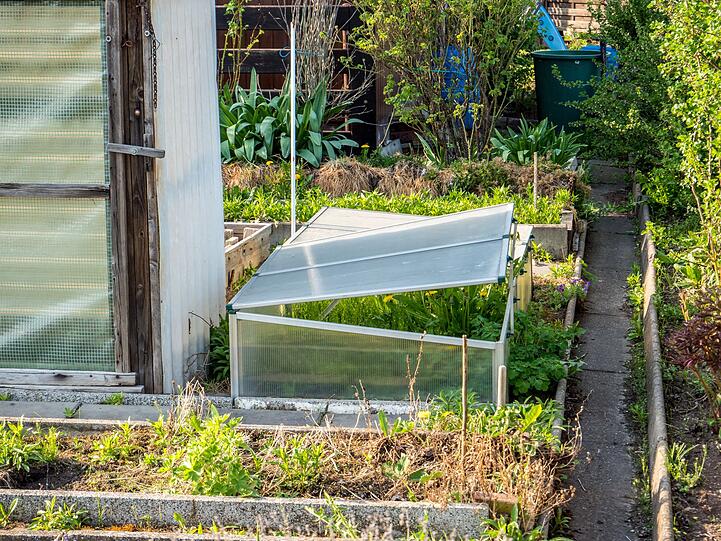 Auch das ist eine Option, mit der sich die Gartensaison verlängern lässt: ein Gewächshaus. Salate, Radieschen, Spinat, Brokkoli, Rucola und viele weitere Gemüsesorten lassen sich hier auch noch im September aussäen und pflanzen. Keimung und Wachstum erfolgen schnell und die Ernte lässt nicht lange auf sich warten. Um Schimmel vorzubeugen, muss im Gewächshaus regelmäßig gelüftet werden. Auch das ist eine Option, mit der sich die Gartensaison verlängern lässt: ein Gewächshaus. Salate, Radieschen, Spinat, Brokkoli, Rucola und viele weitere Gemüsesorten lassen sich hier auch noch im September aussäen und pflanzen. Keimung und Wachstum erfolgen schnell und die Ernte lässt nicht lange auf sich warten. Um Schimmel vorzubeugen, muss im Gewächshaus regelmäßig gelüftet werden.
