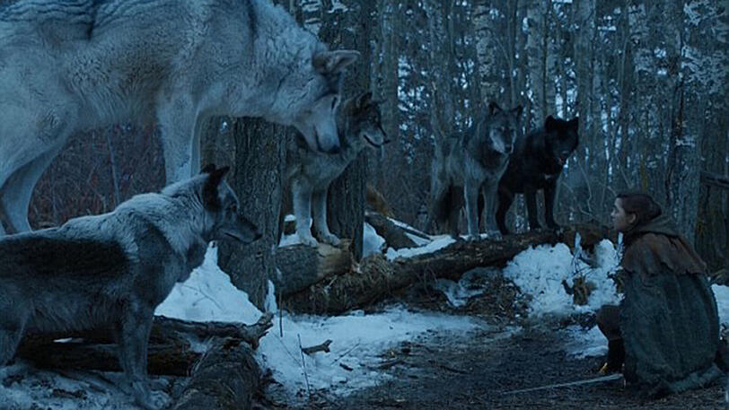 Arya und Nymeria.