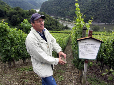 Mittelrheintal: Mit dem Winzer Erhard Sopp auf dem Weinlehrpfad Loreley