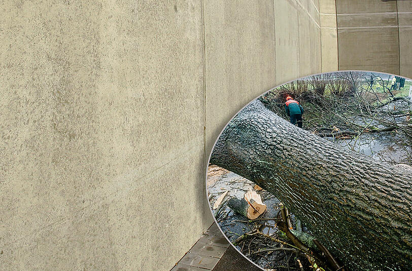 Der Sturm richtet deutschlandweit große Schäden an - nun hat er Medienberichten nach das erste Todesopfer gefordert (Symbolbild).