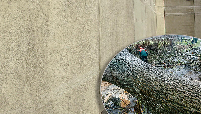 Der Sturm richtet deutschlandweit große Schäden an - nun hat er Medienberichten nach das erste Todesopfer gefordert (Symbolbild). Der Sturm richtet deutschlandweit große Schäden an - nun hat er Medienberichten nach das erste Todesopfer gefordert (Symbolbild).