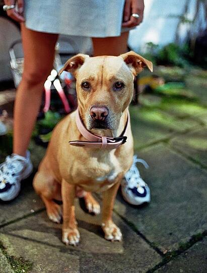 Lucy