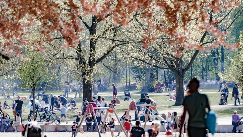 Spielplatz in Hamburg: In Großstädten wird der Platz für Spielflächen immer knapper. Spielplatz in Hamburg: In Großstädten wird der Platz für Spielflächen immer knapper.