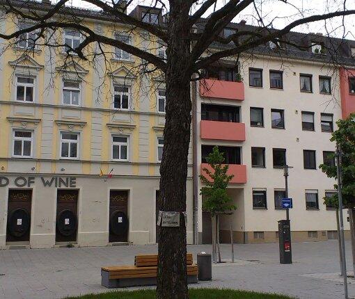 Trauer um den Baum am Hans-Mielich-Platz.
