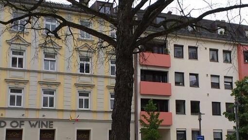 Trauer um den Baum am Hans-Mielich-Platz. Trauer um den Baum am Hans-Mielich-Platz.